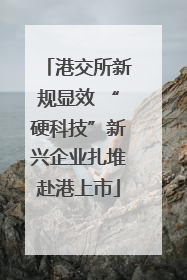 港交所新规显效 “硬科技”新兴企业扎堆赴港上市