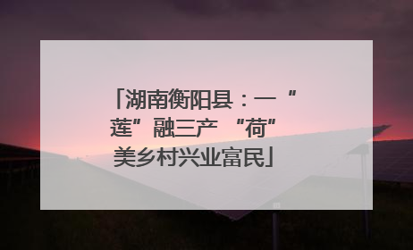 湖南衡阳县：一“莲”融三产 “荷”美乡村兴业富民