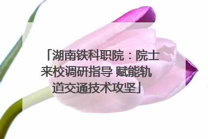 湖南铁科职院：院士来校调研指导 赋能轨道交通技术攻坚