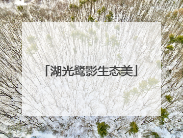 湖光鹭影生态美