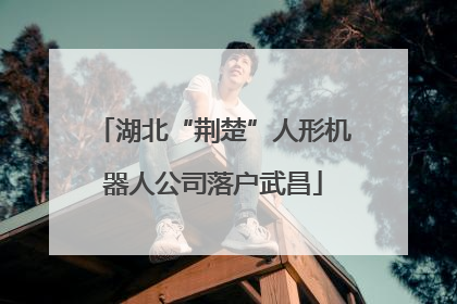 湖北“荆楚”人形机器人公司落户武昌