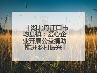 湖北丹江口市均县镇：爱心企业开展公益捐助推进乡村振兴