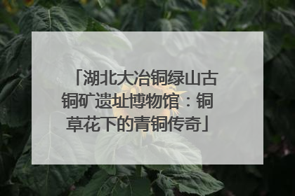 湖北大冶铜绿山古铜矿遗址博物馆：铜草花下的青铜传奇
