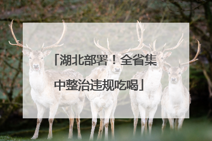 湖北部署！全省集中整治违规吃喝