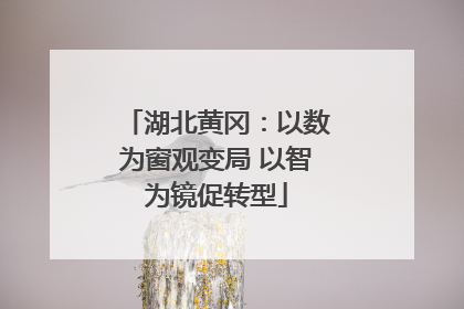 湖北黄冈：以数为窗观变局 以智为镜促转型