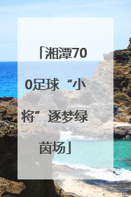 湘潭700足球“小将”逐梦绿茵场