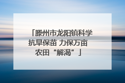 滕州市龙阳镇科学抗旱保苗 力保万亩农田“解渴”