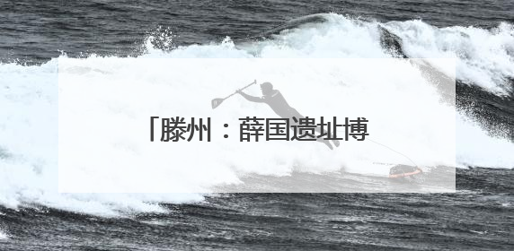 滕州：薛国遗址博物馆文物征集公告