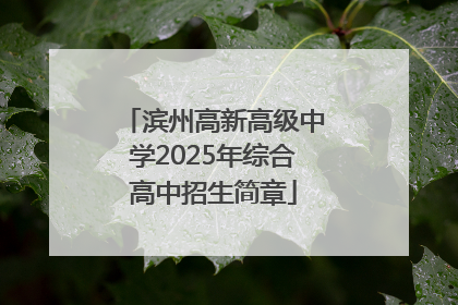 滨州高新高级中学2025年综合高中招生简章