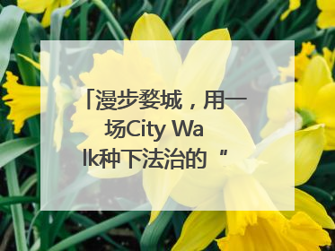 漫步婺城，用一场City Walk种下法治的“童心锚点”
