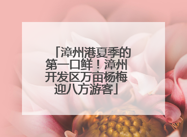 漳州港夏季的第一口鲜！漳州开发区万亩杨梅迎八方游客