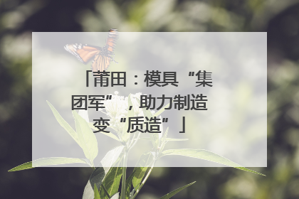 莆田：模具“集团军”，助力制造变“质造”