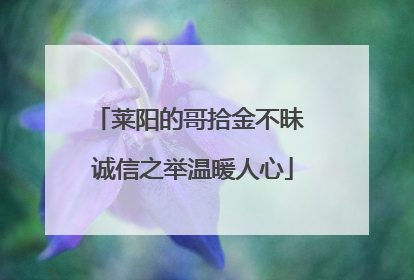 莱阳的哥拾金不昧 诚信之举温暖人心
