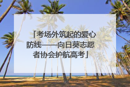 考场外筑起的爱心防线——向日葵志愿者协会护航高考