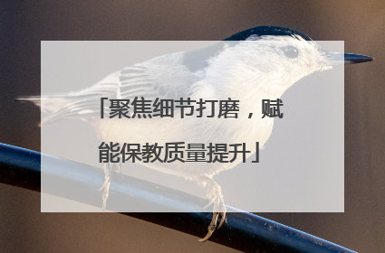 聚焦细节打磨，赋能保教质量提升