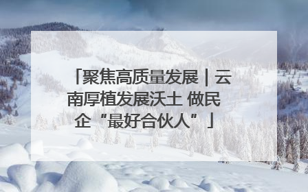 聚焦高质量发展｜云南厚植发展沃土 做民企“最好合伙人”