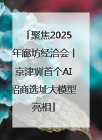 聚焦2025年廊坊经洽会丨京津冀首个AI招商选址大模型亮相