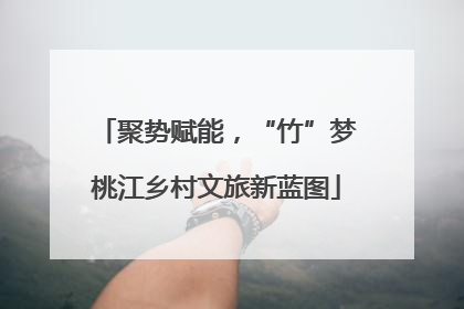 聚势赋能，“竹”梦桃江乡村文旅新蓝图