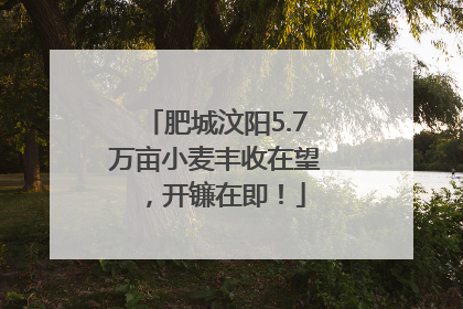 肥城汶阳5.7万亩小麦丰收在望，开镰在即！