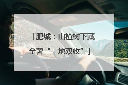 肥城：山楂树下藏金薯“一地双收”