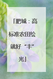 肥城：高标准农田绘就好“丰”光