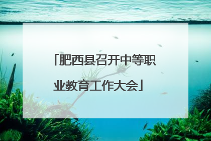 肥西县召开中等职业教育工作大会