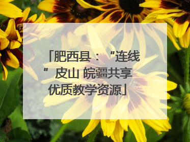 肥西县：“连线”皮山 皖疆共享优质教学资源