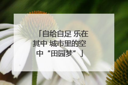 自给自足 乐在其中 城市里的空中“田园梦”