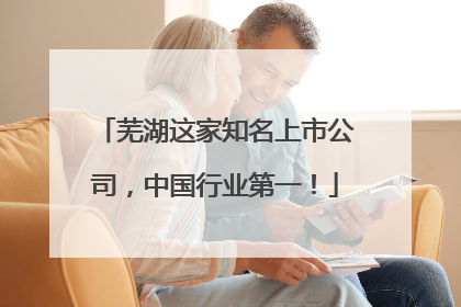 芜湖这家知名上市公司，中国行业第一！