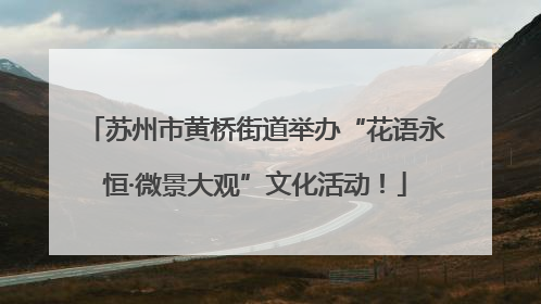 苏州市黄桥街道举办“花语永恒·微景大观”文化活动！