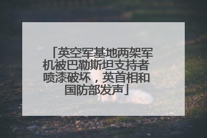 英空军基地两架军机被巴勒斯坦支持者喷漆破坏，英首相和国防部发声
