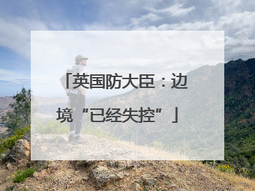 英国防大臣：边境“已经失控”