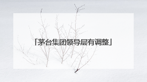 茅台集团领导层有调整