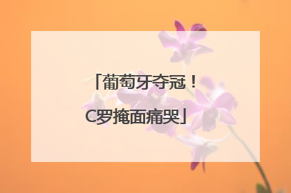 葡萄牙夺冠！C罗掩面痛哭