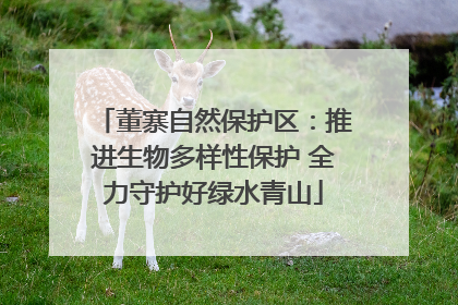 董寨自然保护区：推进生物多样性保护 全力守护好绿水青山