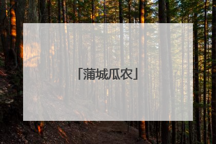 蒲城瓜农