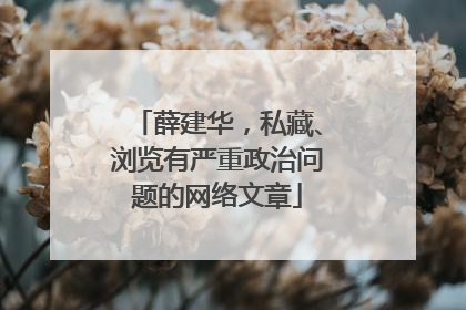 薛建华，私藏、浏览有严重政治问题的网络文章