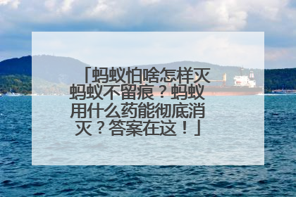 蚂蚁怕啥怎样灭蚂蚁不留痕？蚂蚁用什么药能彻底消灭？答案在这！
