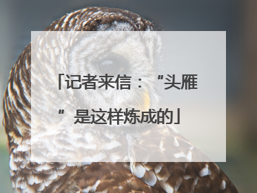 记者来信：“头雁”是这样炼成的