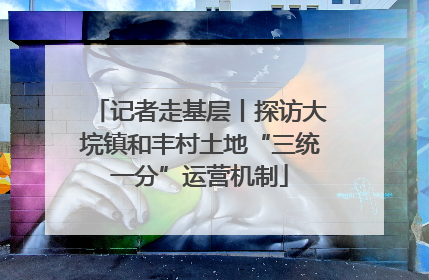 记者走基层丨探访大垸镇和丰村土地“三统一分”运营机制