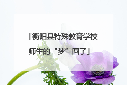 衡阳县特殊教育学校师生的“梦”圆了