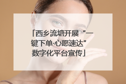 西乡流塘开展“一键下单·心愿速达”数字化平台宣传