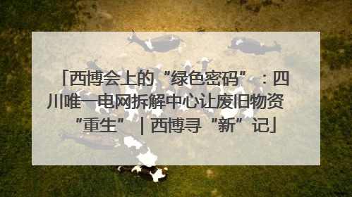 西博会上的“绿色密码”：四川唯一电网拆解中心让废旧物资“重生”｜西博寻“新”记