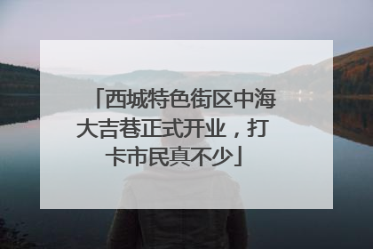 西城特色街区中海大吉巷正式开业，打卡市民真不少