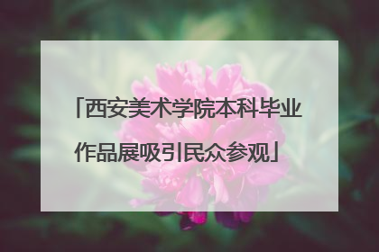西安美术学院本科毕业作品展吸引民众参观