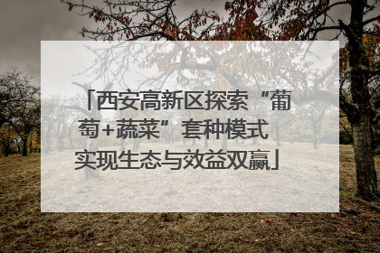 西安高新区探索“葡萄+蔬菜”套种模式 实现生态与效益双赢