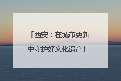 西安：在城市更新中守护好文化遗产