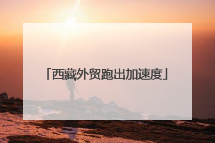西藏外贸跑出加速度