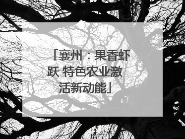 襄州：果香虾跃 特色农业激活新动能