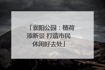 襄阳公园：植荷添新景 打造市民休闲好去处